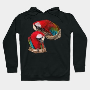 Red-and-green Macaw Hoodie